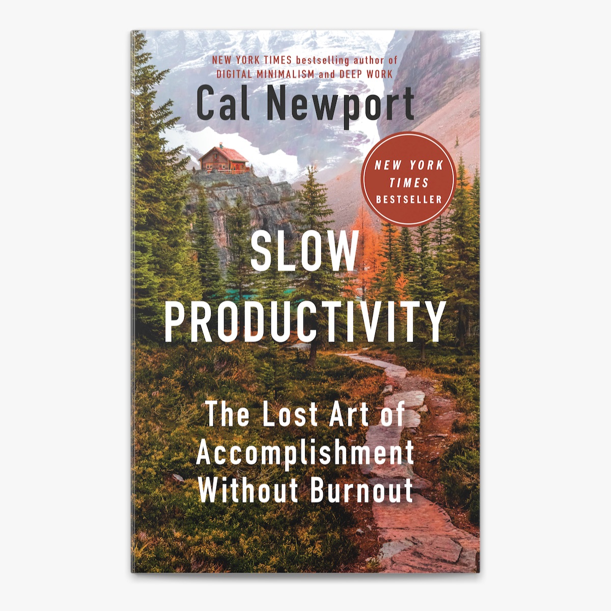 Slow Productivity cover