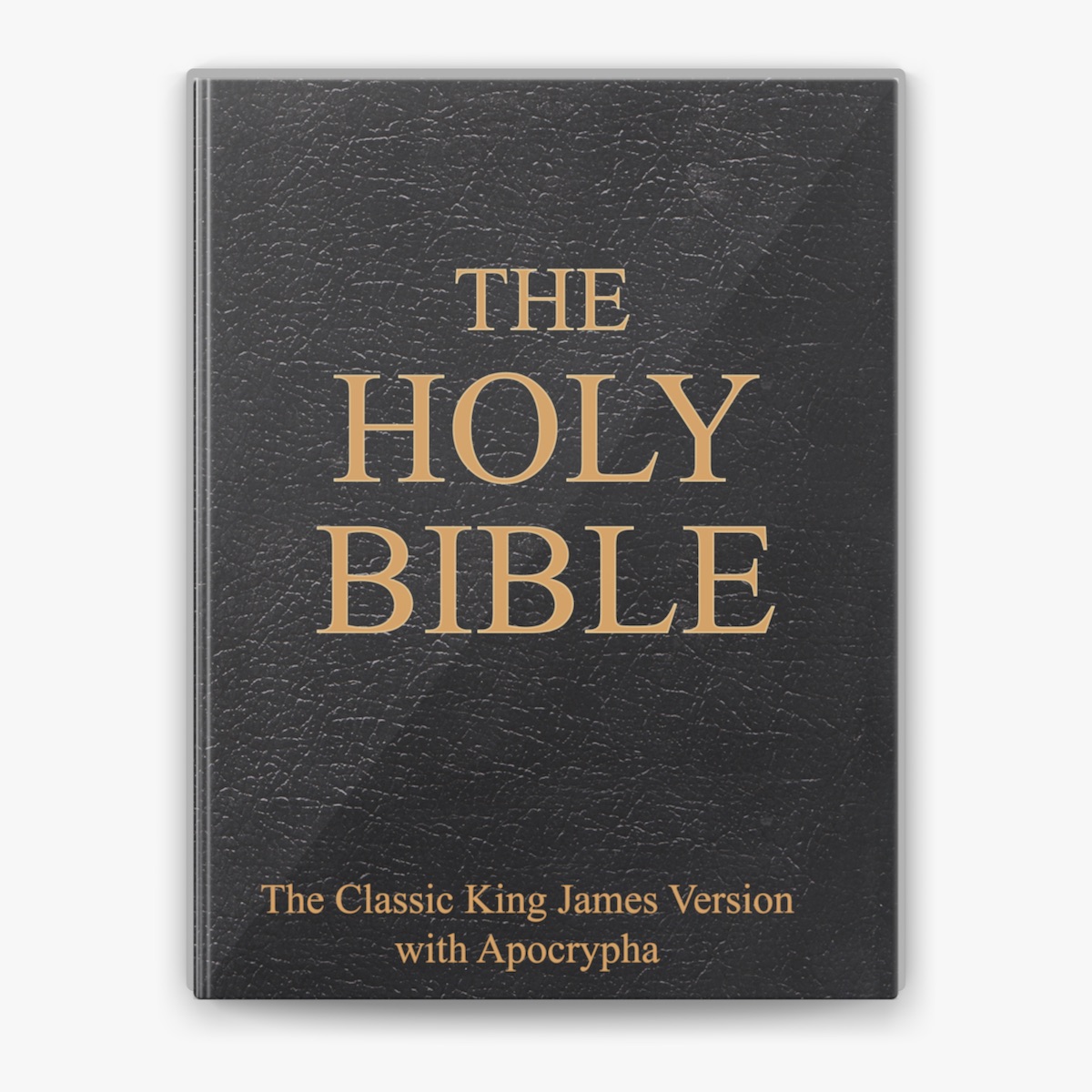 The Holy Bible cover